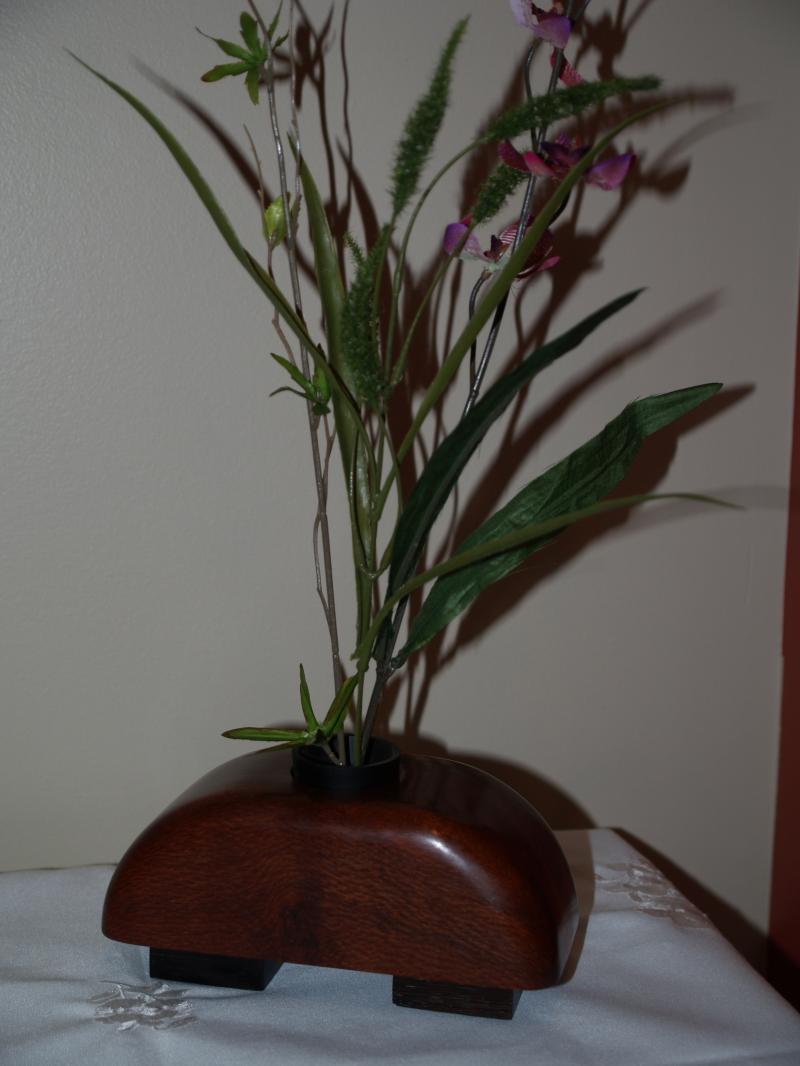 Leopardwood Ikebana